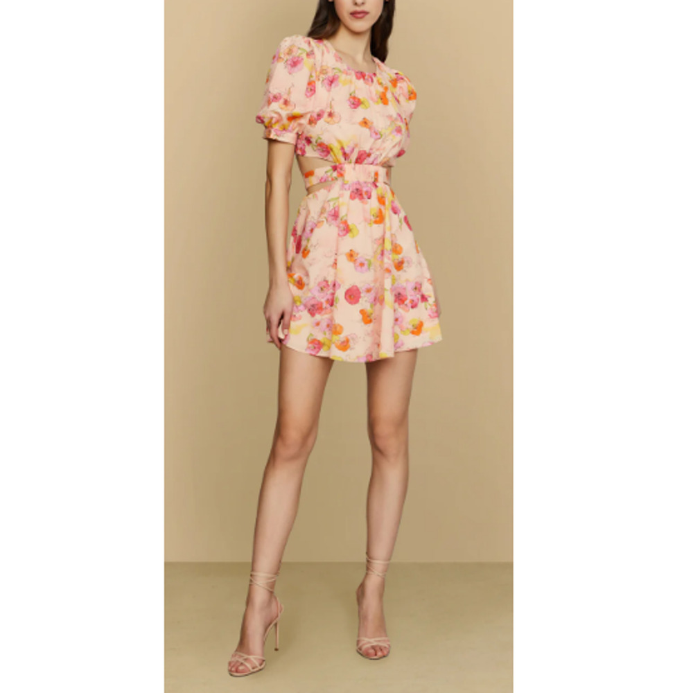 AMUR Women's Flowers in Cloud Short Sleeves Jewel Neck Cole Cutout Dress Size 2 - Picture 2 of 10
